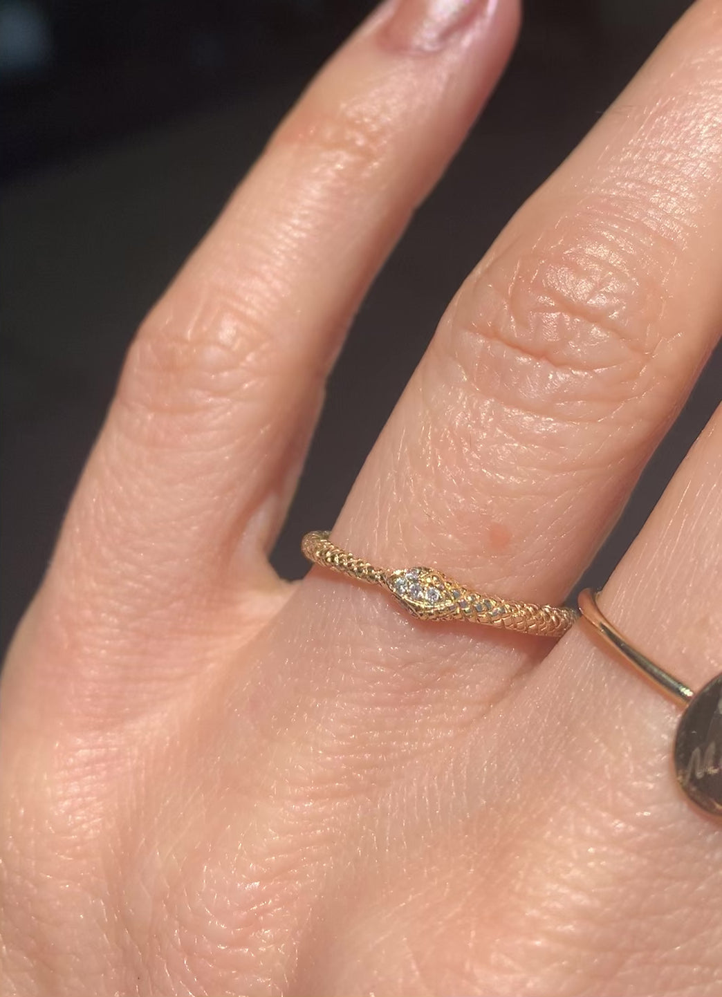 Medium Ouroboros Snake Ring
