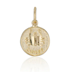 Treasure Coin Zodiac Charm