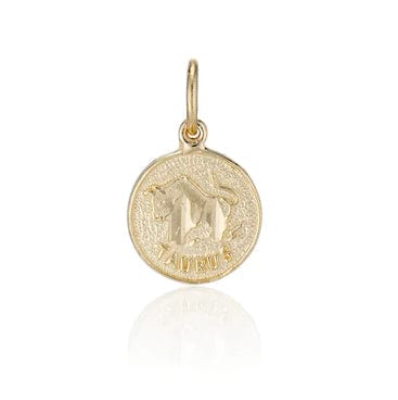 Charlie and Marcelle CHARMS Treasure Coin Zodiac Charm