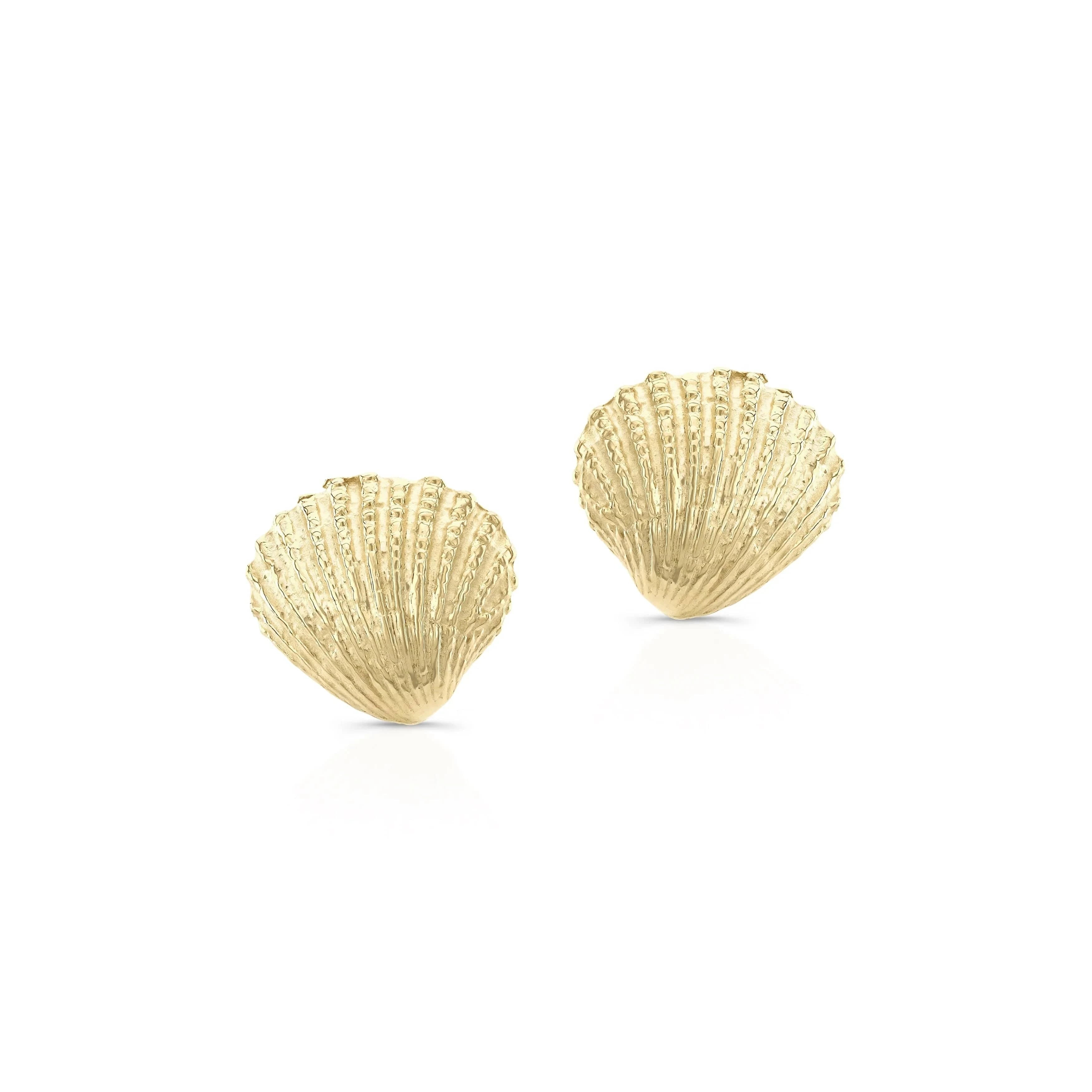 Carter Eve Jewelry EARRINGS 14k Gold Naia Shell Studs