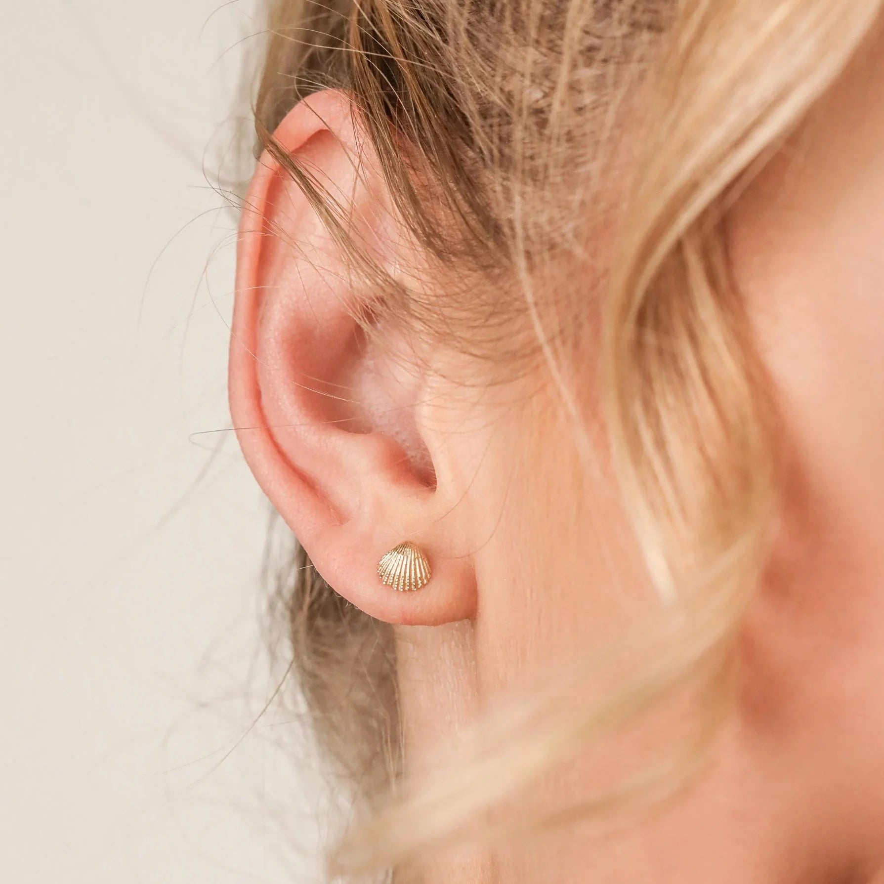14k Gold Naia Shell Studs