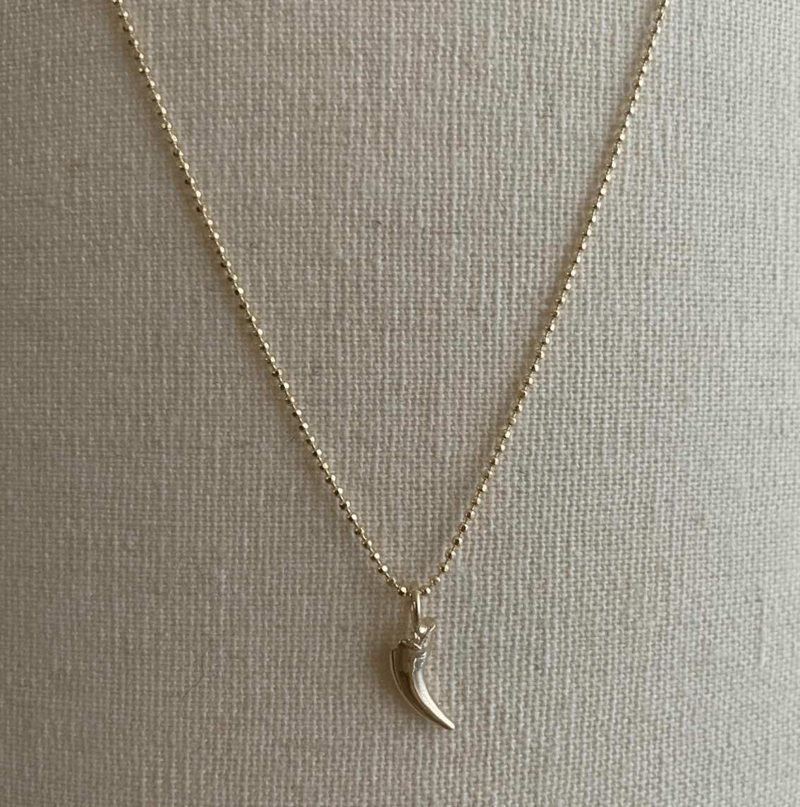 Carter Eve Jewelry NECKLACES Custom 14K Gold Puppy Tooth Pendant