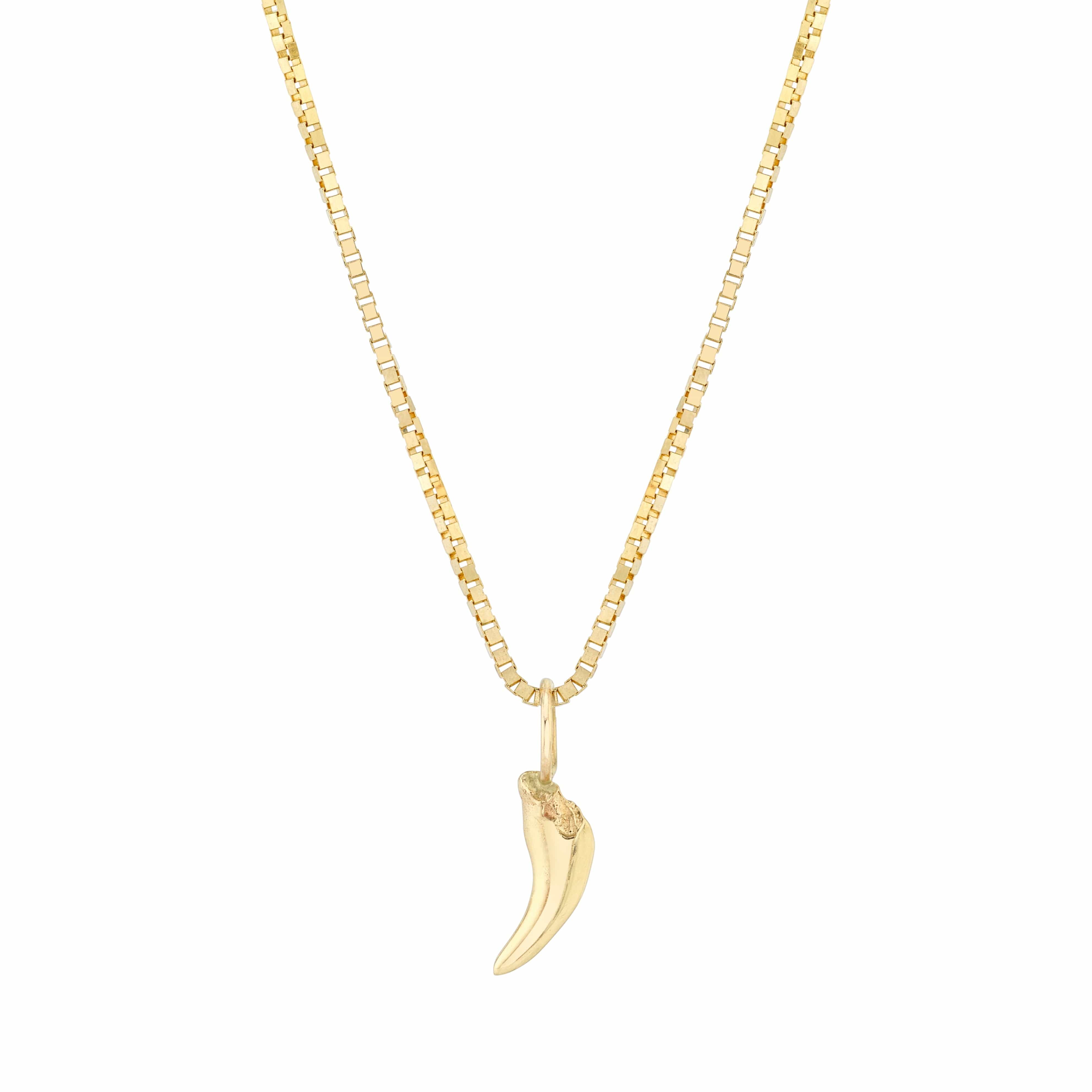 Carter Eve Jewelry NECKLACES Custom 14K Gold Puppy Tooth Pendant