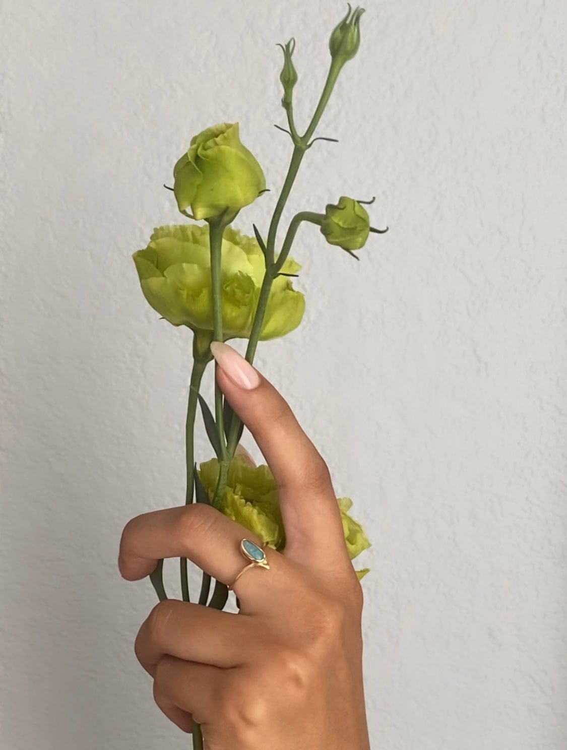 Sublimity opal v-ring