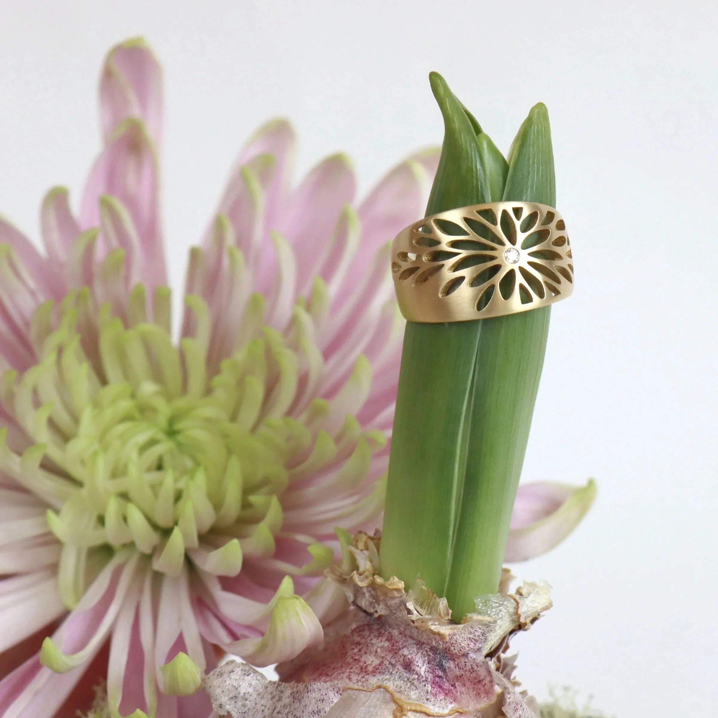 Gwen Barba RINGS Aster Ring 18K Gold