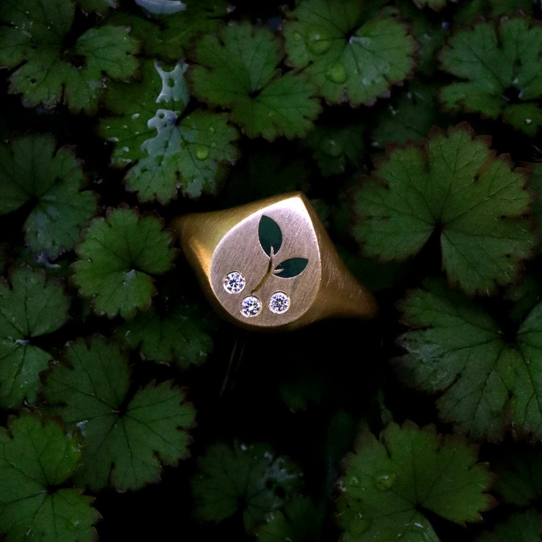 Gwen Barba RINGS Seedling Signet
