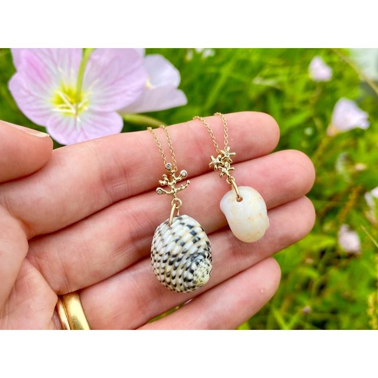 Seastars with Gaudy Nautica Shell Charm