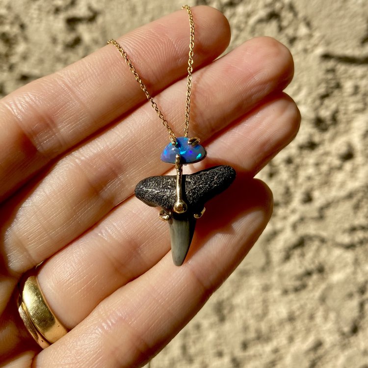 Fossilized Shark Tooth Mini Totem