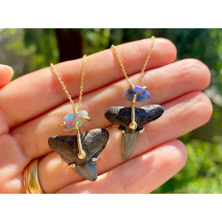 Fossilized Shark Tooth Mini Totem 2