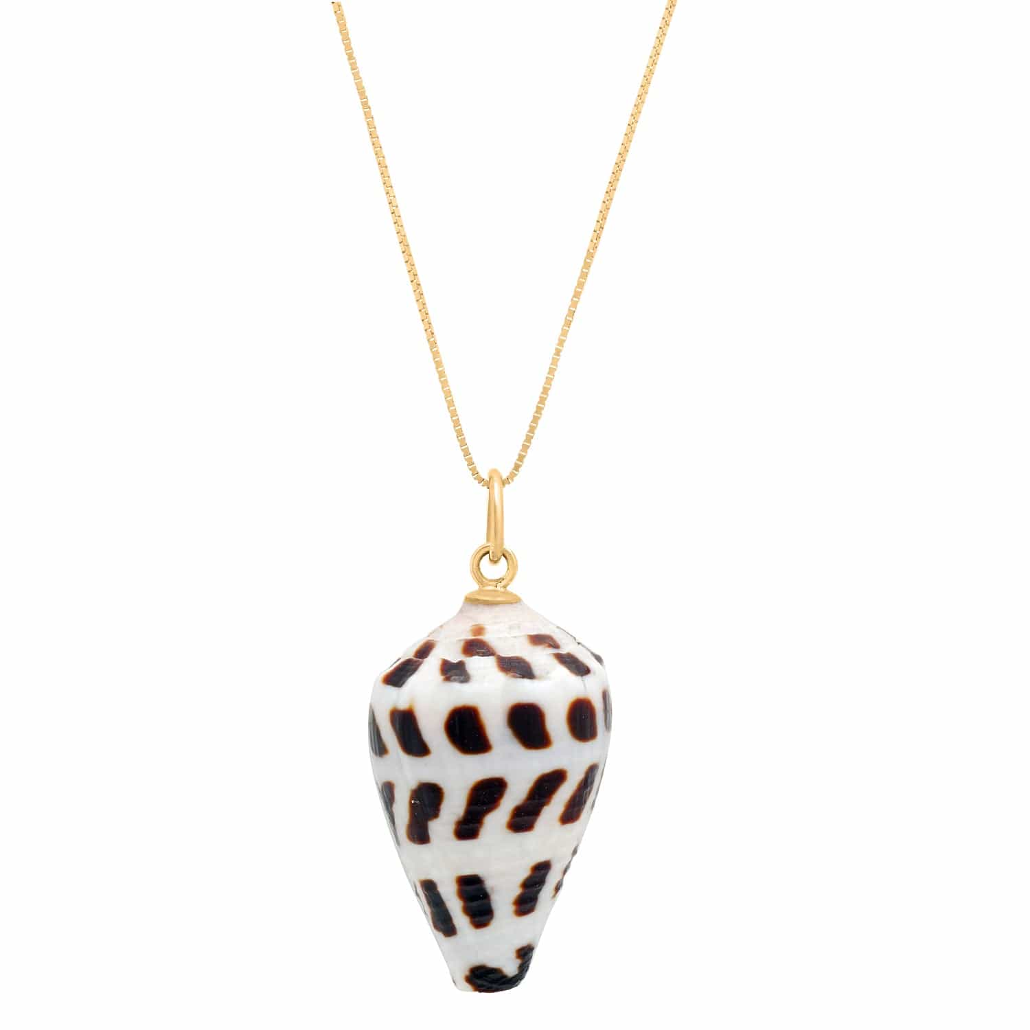 CAITLIN NICOLE JEWELRY CHARMS Conus Shell Charm