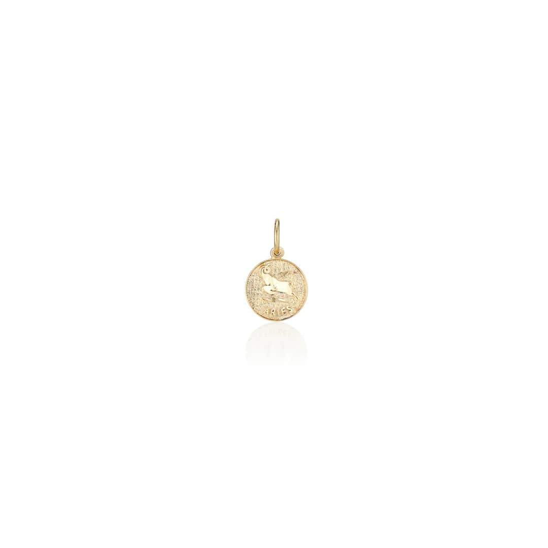 Charlie and Marcelle CHARMS Treasure Coin Zodiac Charm