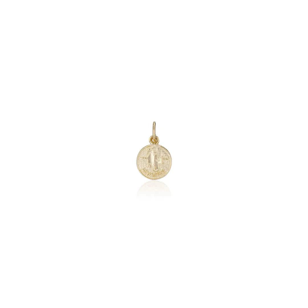 Charlie and Marcelle CHARMS Treasure Coin Zodiac Charm