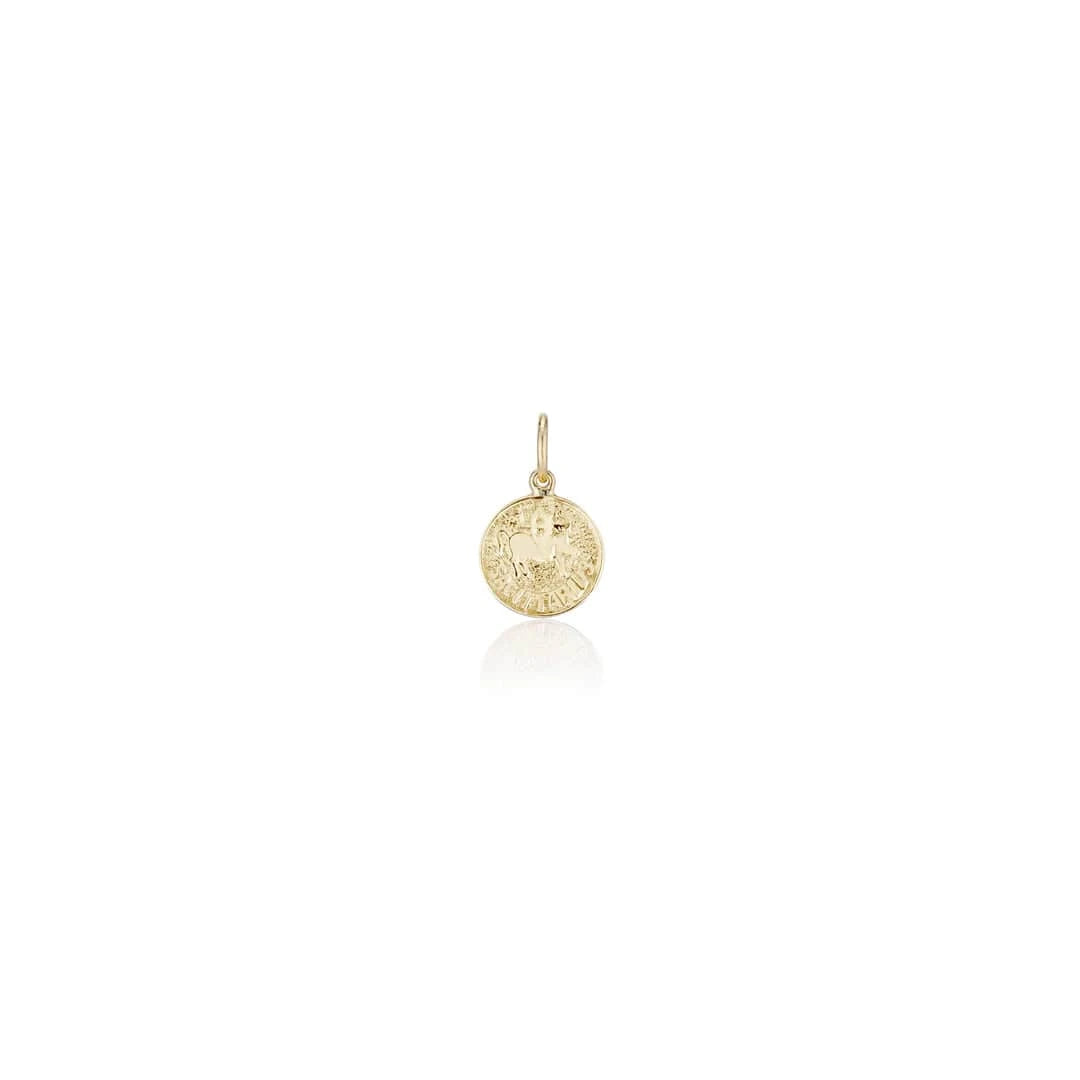 Charlie and Marcelle CHARMS Treasure Coin Zodiac Charm