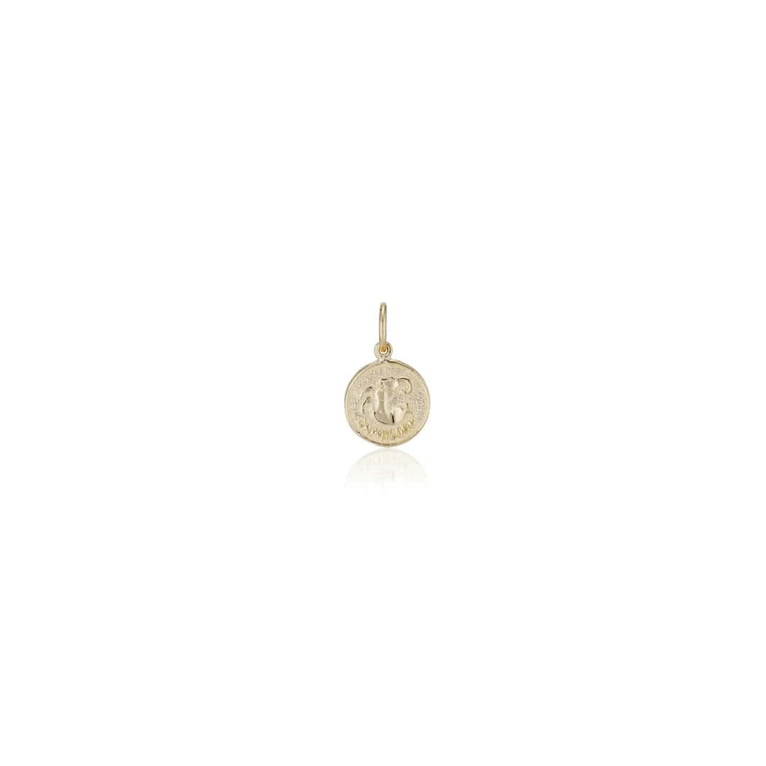 Charlie and Marcelle CHARMS Treasure Coin Zodiac Charm