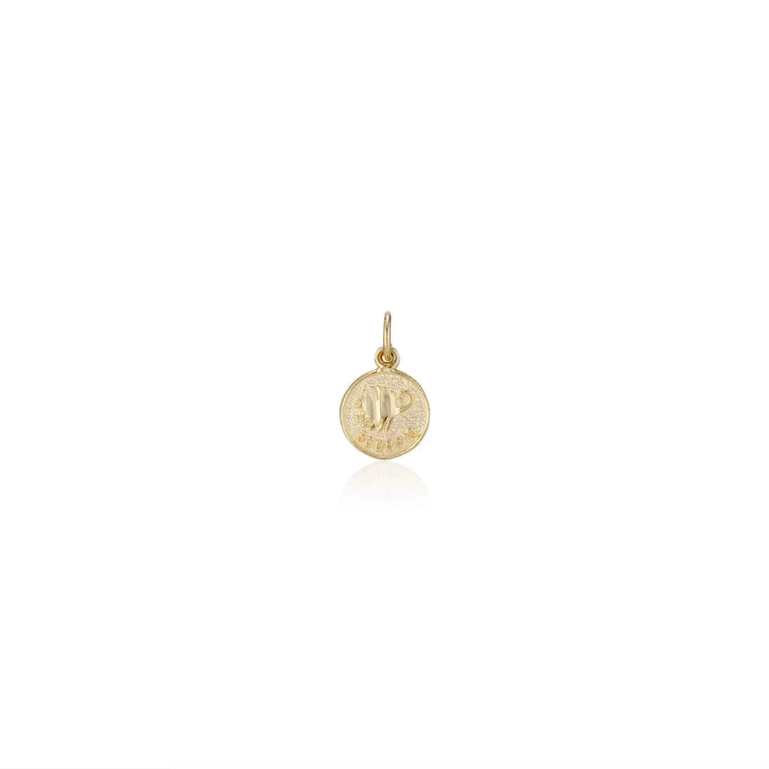 Charlie and Marcelle CHARMS Treasure Coin Zodiac Charm