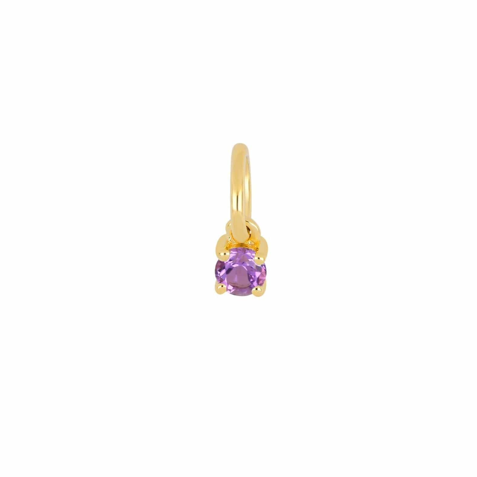 EF COLLECTION NECKLACES February - Amethyst Petite Birthstone Charm