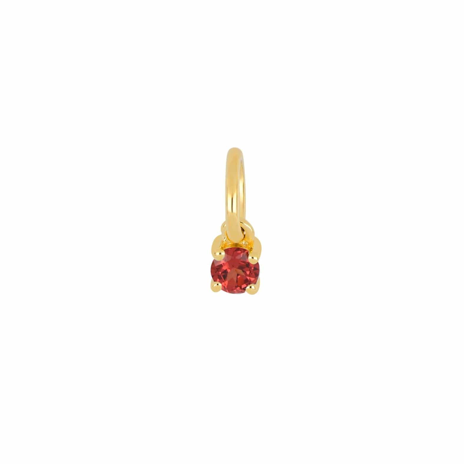 EF COLLECTION NECKLACES January - Garnet Petite Birthstone Charm