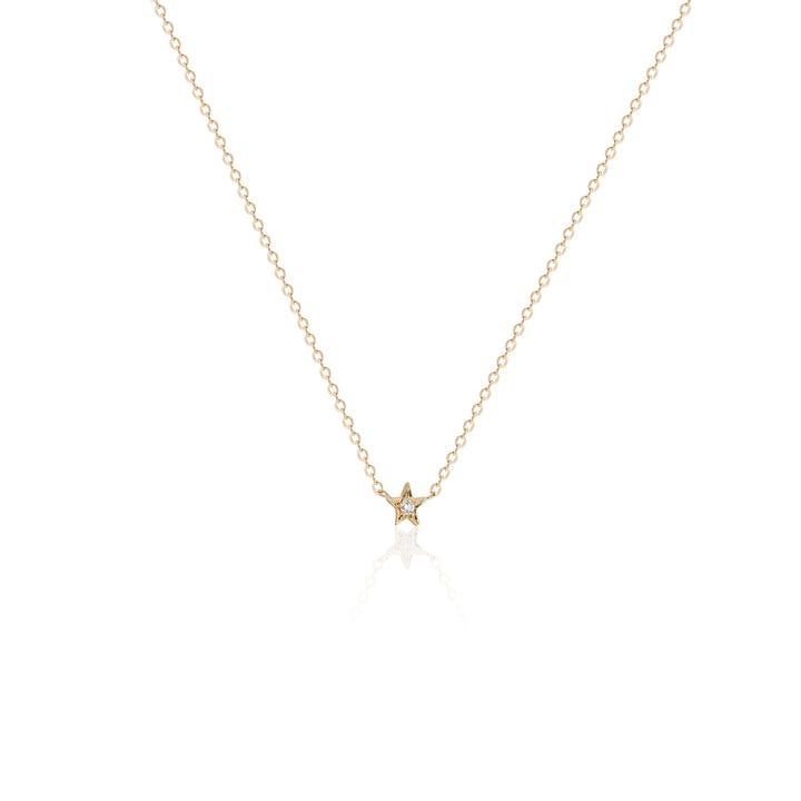 Charlie and Marcelle NECKLACES Teeny Tiny Wishing Star Necklace