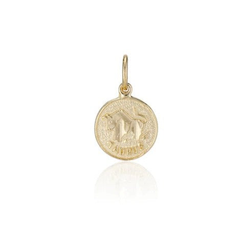 Treasure Coin Zodiac Charm